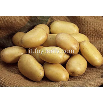 vendita calda di patate fresche tengzhou